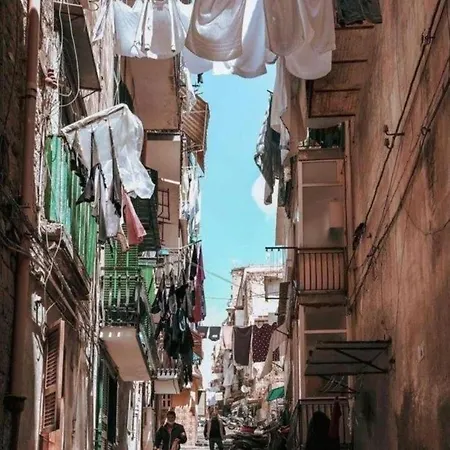 Maison Soso